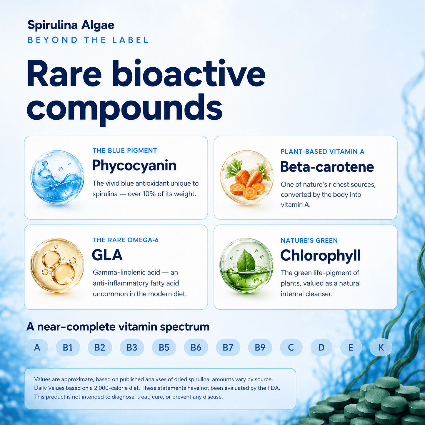 VITALITYbits® Spirulina/Chlorella | Large Bag